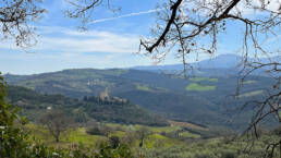 The Castle of Ripa d'Orcia and the vineyards